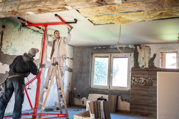 Best Insulation Maintenance and Repair in Ohatchee, AL