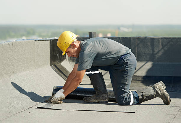 Best Insulation Installation Services in Ohatchee, AL